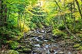 Chittenden Brook VT 2021
